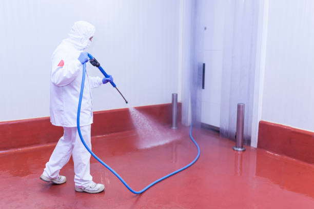 Reliable Crawfordville, FL Pressure Washing Services Solutions